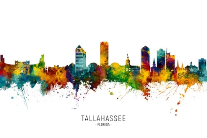 Picture of TALLAHASSEE FLORIDA SKYLINE
