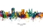 Picture of PARAMARIBO SURINAME SKYLINE