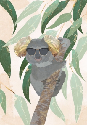 Picture of COOL KOALA