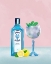 Picture of GIN COCKTAIL