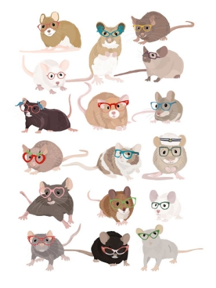 Picture of MICE IN GLASSES