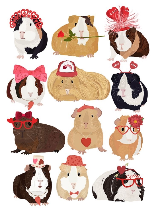 Picture of LOVE GUINEA PIGS