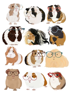 Picture of GUINEA PIG IN GLASSES