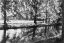 Picture of MARLOT 27 04 23