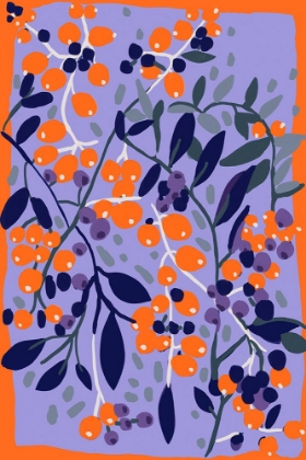 Picture of BLUE AND ORANGE BERRIES