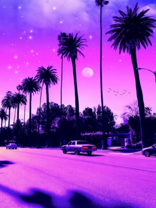Picture of AESTHETIC CALI DRIVE