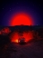 Picture of CHASING THE RED SUN