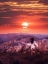 Picture of FREE SPIRIT