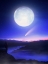 Picture of MOON DATE