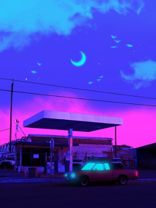 Picture of NEON NIGHT