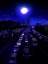 Picture of NEON TRAFFIC
