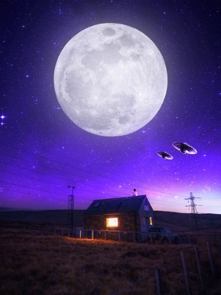 Picture of ORB OF NIGHT