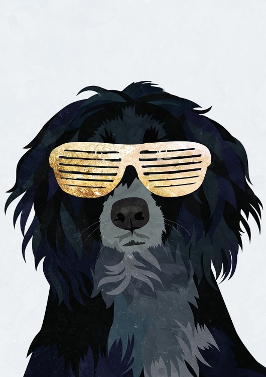 Picture of HIPHOP COCKERSPANIEL