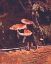 Picture of #256
