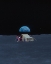 Picture of #337