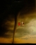 Picture of #346