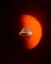 Picture of #466