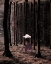 Picture of #477