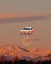 Picture of #660