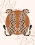 Picture of CHEETAH