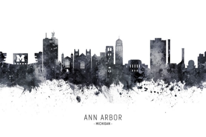 Picture of ANN ARBOR MICHIGAN SKYLINE