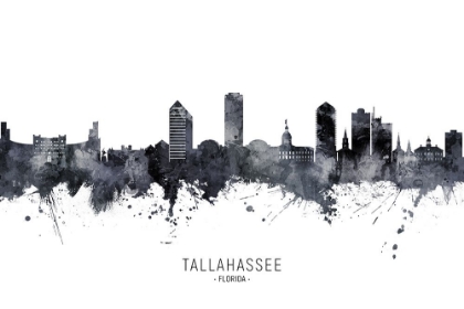 Picture of TALLAHASSEE FLORIDA SKYLINE