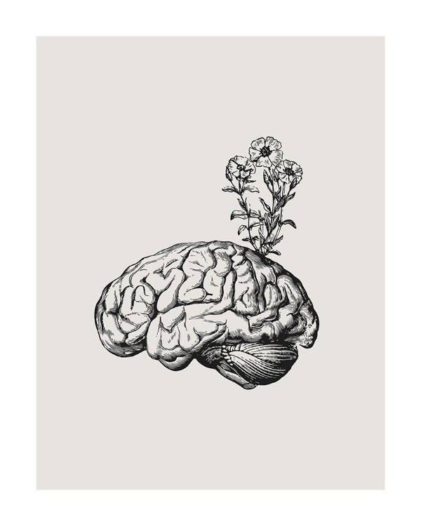 Picture of BRAIN BLOOM