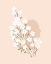 Picture of HEAD BLOOM