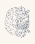 Picture of BRAIN SKETCH