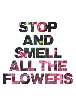 Picture of STOP AND SMELL ALL THE FLOWERS