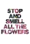 Picture of STOP AND SMELL ALL THE FLOWERS