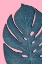 Picture of BLUE LEAF