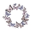 Picture of BUTTEFLY WREATH