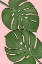 Picture of LEAVES