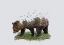 Picture of BEAR