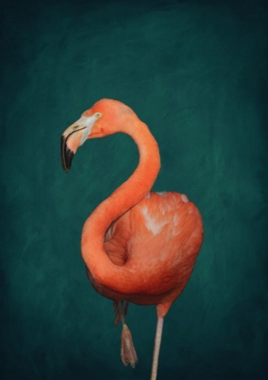 Picture of GREEN FLAMINGO