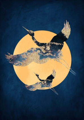 Picture of SAPPHIRE SUN A CRANES