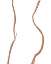 Picture of BODY OF A WOMAN