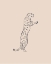 Picture of LEOPARD