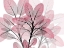 Picture of MAGENTA EMBRACE 1