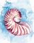 Picture of COAST SHELL PASTEL 1