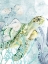 Picture of SEA TURTLE