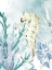 Picture of SEAHORSE