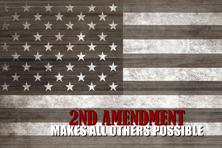 Picture of 2ND AMENDMENT V2
