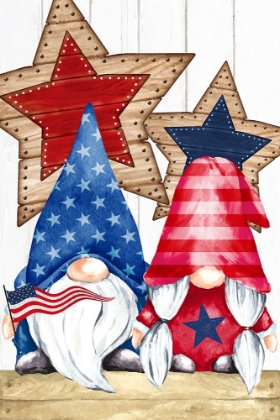 Picture of PATRIOTIC GNOMES