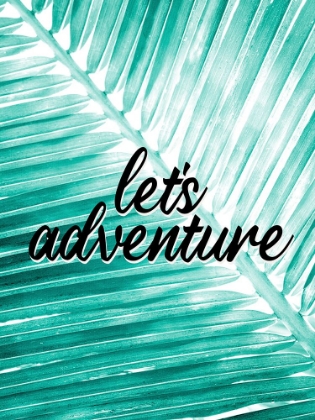 Picture of LETS ADVENTURE PALM