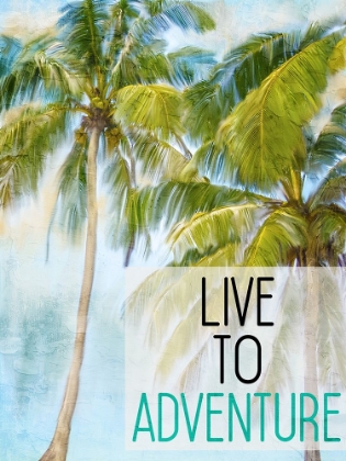 Picture of LIVE TO ADVENTURE