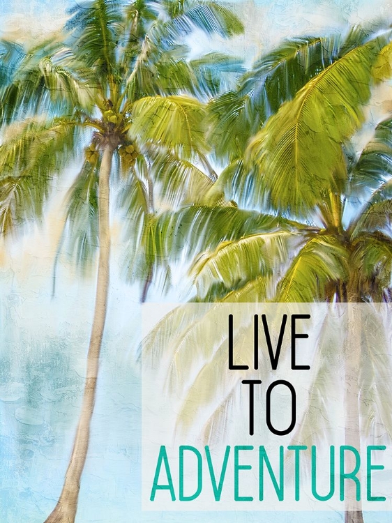 Picture of LIVE TO ADVENTURE