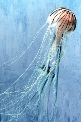 Picture of JELLY SWIM