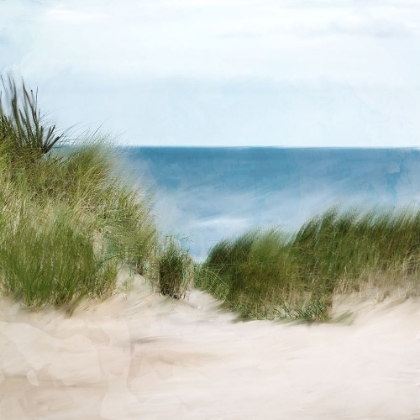 Picture of SAND DUNES BEACH